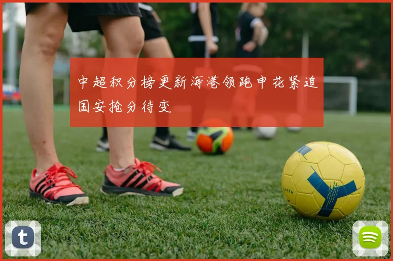 中超积分榜更新海港领跑申花紧追国安抢分待变