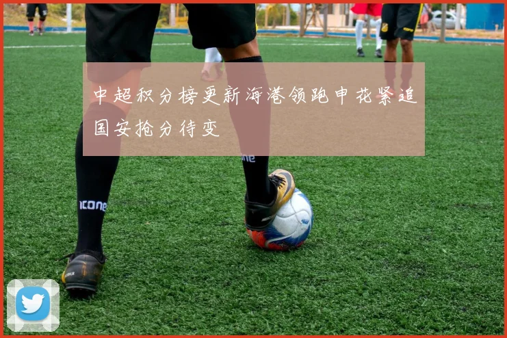 中超积分榜更新海港领跑申花紧追国安抢分待变