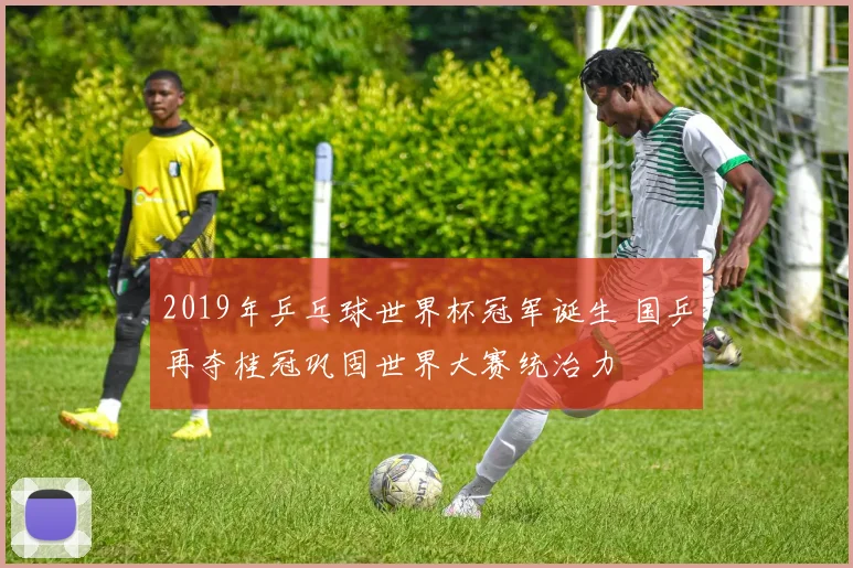 2019年乒乓球世界杯冠军诞生 国乒再夺桂冠巩固世界大赛统治力