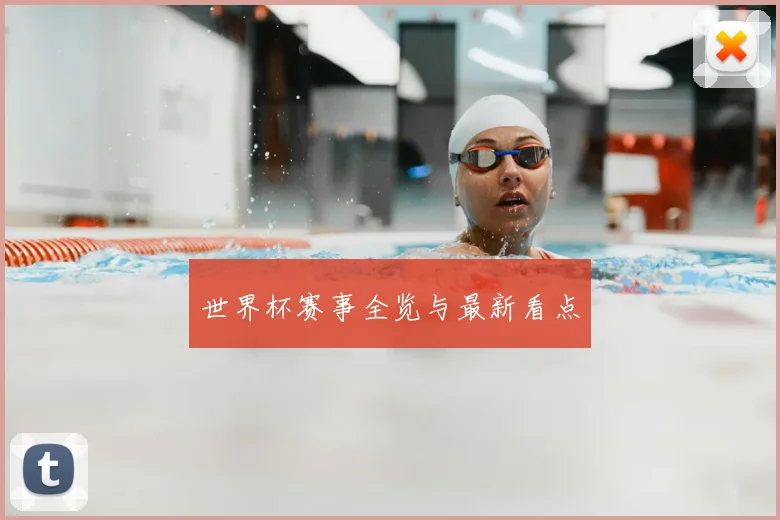 世界杯赛事全览与最新看点