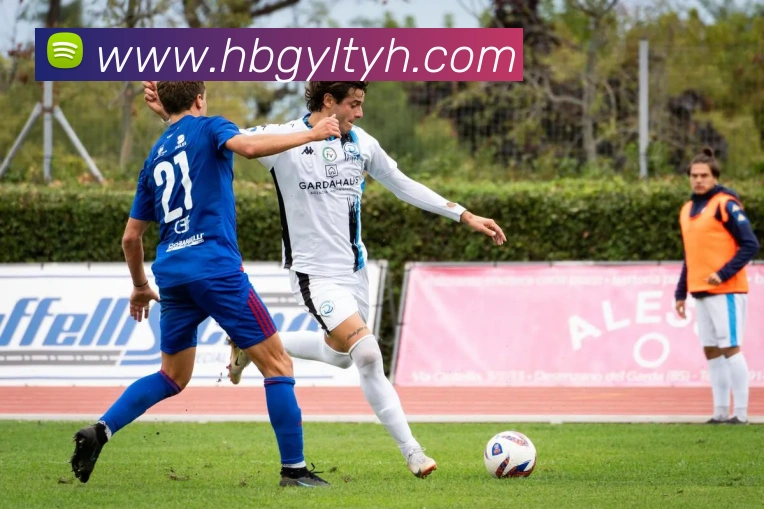 米兰体育网页官网APP 体育赛事宣传图